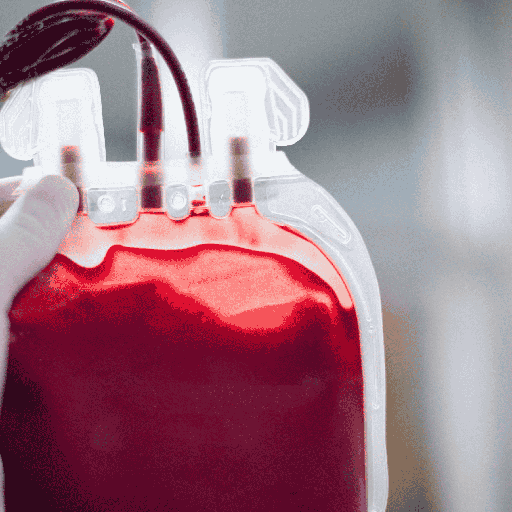 Blood Donor (4)
